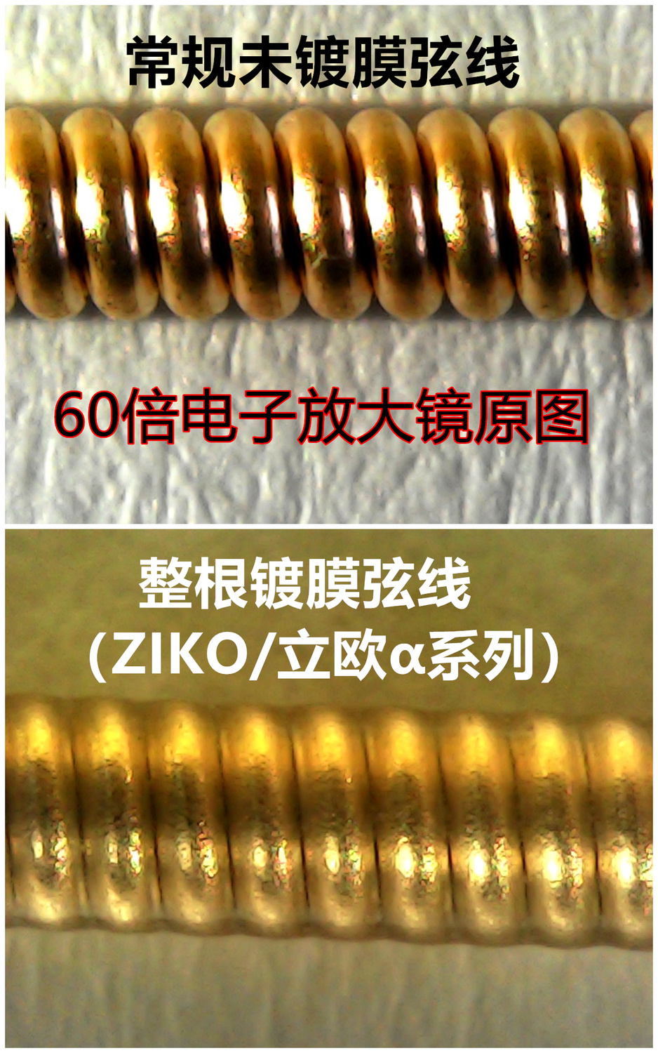 镀膜放大图.jpg